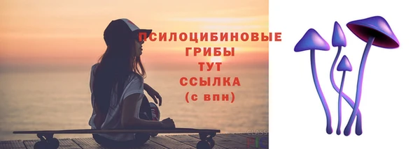 амф Арсеньев