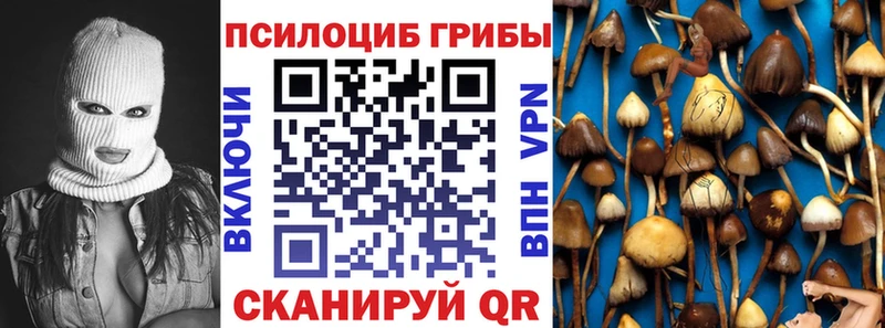 Псилоцибиновые грибы GOLDEN TEACHER  Светогорск 
