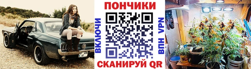Шишки марихуана SATIVA & INDICA Светогорск